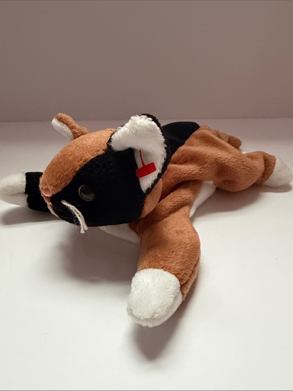 Ty Brown and White Beanie Baby Plush - Chip